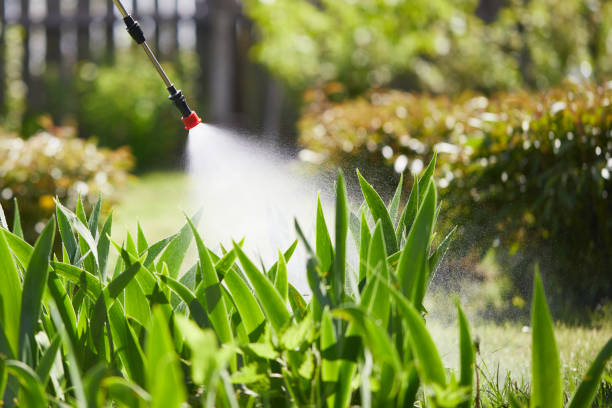 24/7 Emergency Ant Control experts in Parker, TX