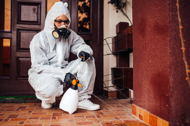 Reliable Ant Control contractor in Parker, TX by Show Me Pest Control